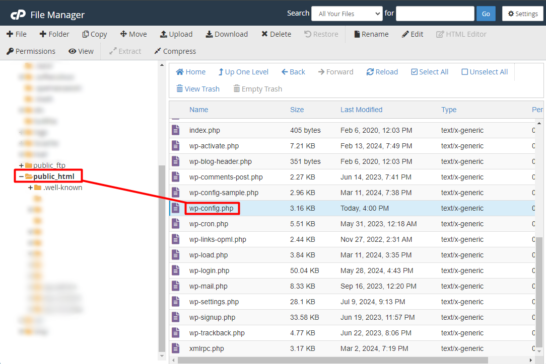 Editing wp-config.php File in cPanel Screenshot of editing wp-config.php file in cPanel