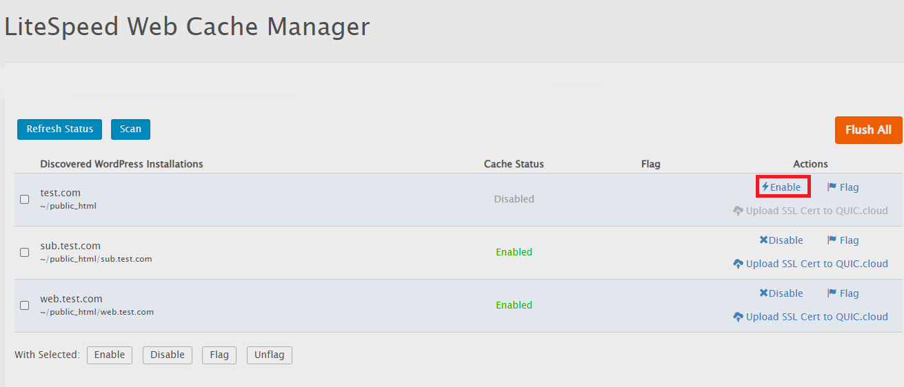 WordPress Cache Settings in LiteSpeed WordPress Cache settings page in LiteSpeed Web Cache Manager