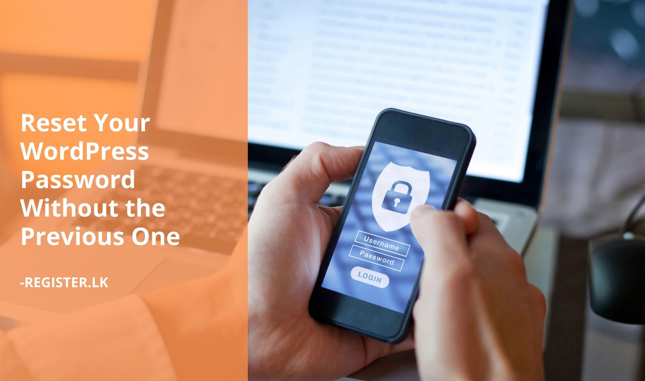 Reset Your WordPress Password Without the Previous One Resetting WordPress password using phpMyAdmin
