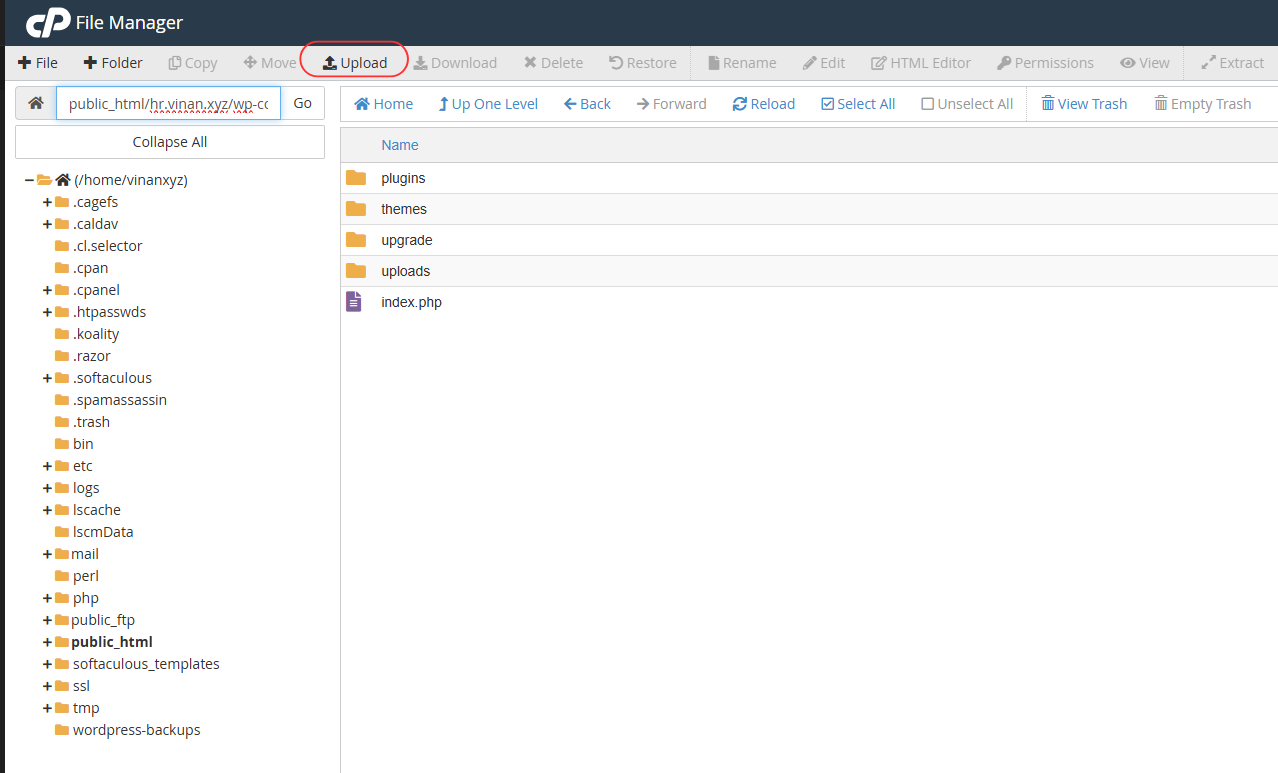 Navigating to wp-content directory in cPanel File Manager