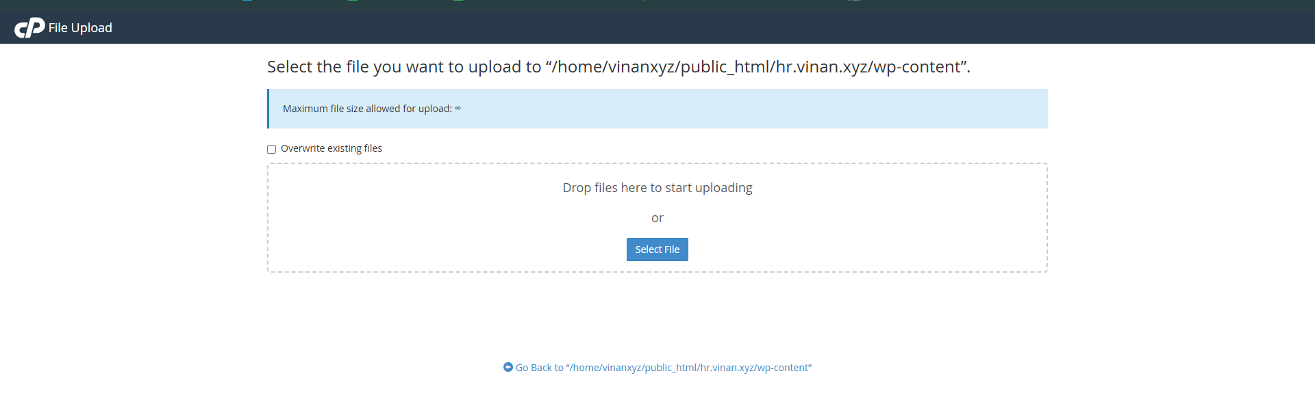 Select theme file to upload in cPanel File Manager