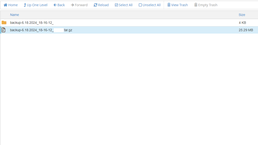 The two files (The compressed and the extracted) You will be able to see the compressed and the extracted backup files