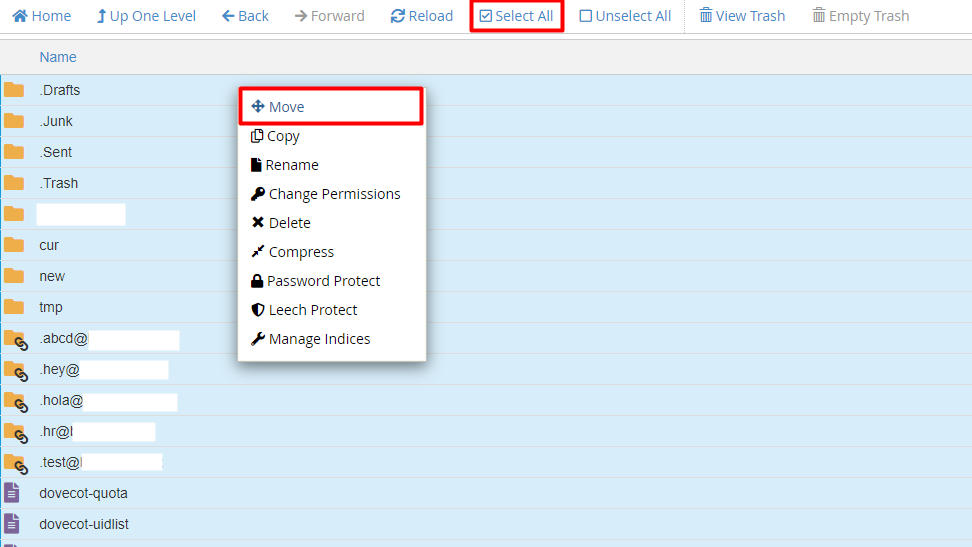 Select all the files inside your backup mail folder and move them to the mail folder in your cPanel Move the files inside homedir/mail/yourdomainname folder to mail/yourdomainname
