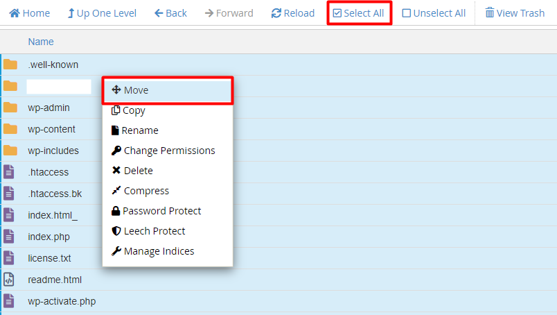 Select all files inside the public_html folder and Move them to public_html Click on the Select all button and right click and Move the Files to the public_html folder in your cPanel